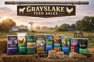 Animal Feed